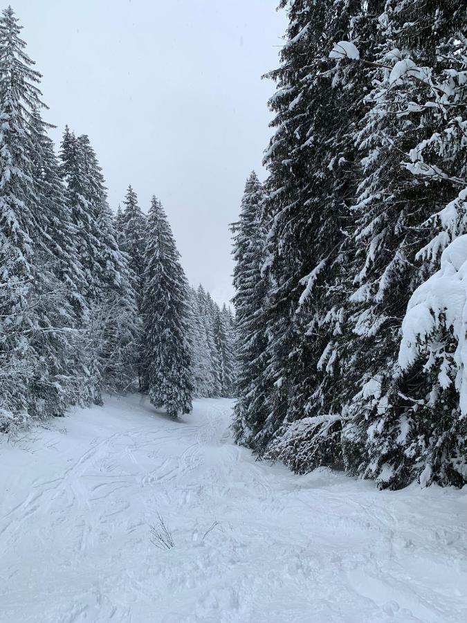 La Jolie Bergere Morzine Exterior foto